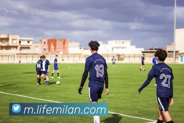 米兰体育APP 封面图